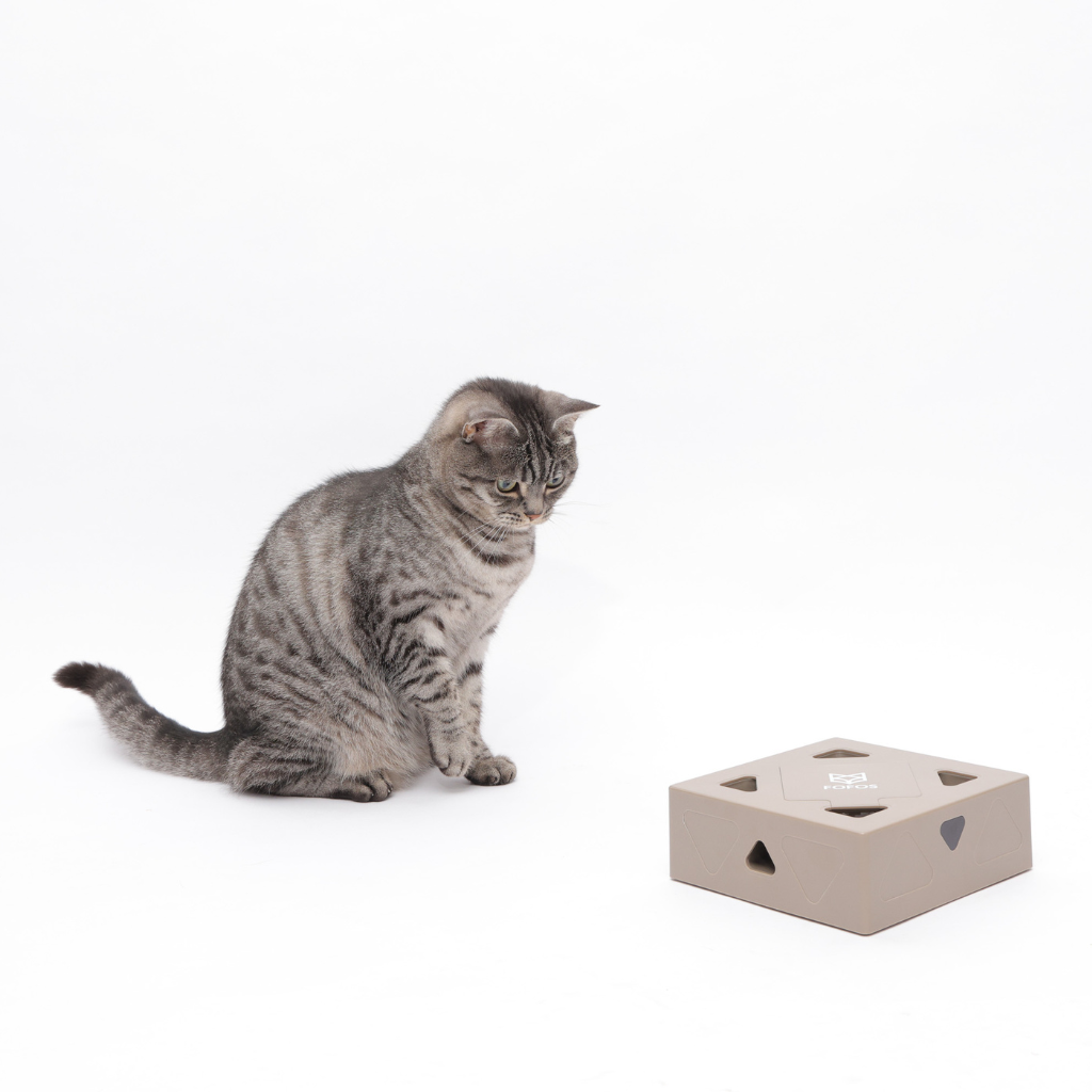 FOFOS Hộp Lông Vũ Ngẫu Nhiên Bản USB – Đồ Chơi Tương Tác Tự Động Cho Mèo 17.7x17.7x6.5cm