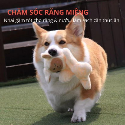 FOFOS Đồ Chơi Nhồi Bông Hình Cừu Trắng Cho Chó – Vải Mềm Có Còi Kêu 21.5x18x3.5cm