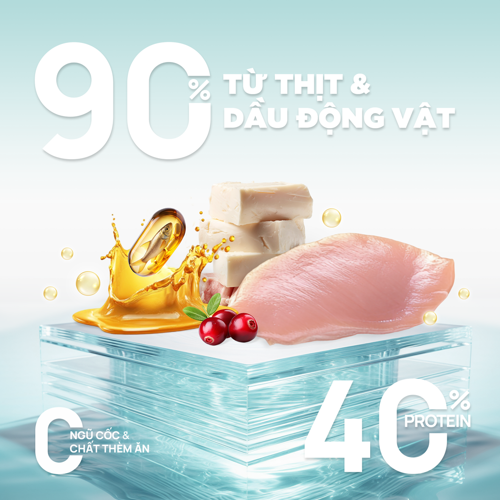 PetQ Churro C90 Thức Ăn Hạt Cho Mèo Túi Dùng Thử 50g