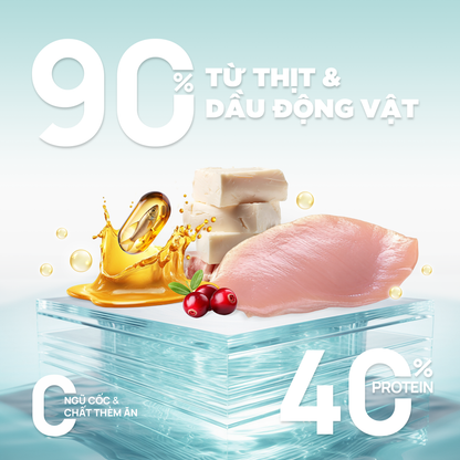 PetQ Churro C90 Thức Ăn Hạt Cho Mèo Túi Dùng Thử 50g