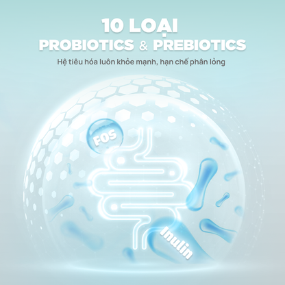 PetQ Churro C90 Thức Ăn Hạt Cho Mèo Túi Dùng Thử 50g