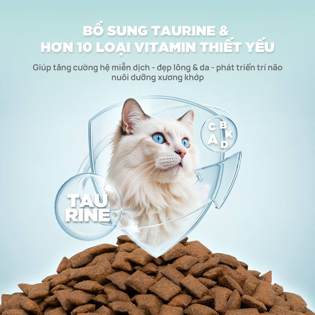 PetQ Churro C90 Thức Ăn Hạt Cho Mèo Túi Dùng Thử 50g