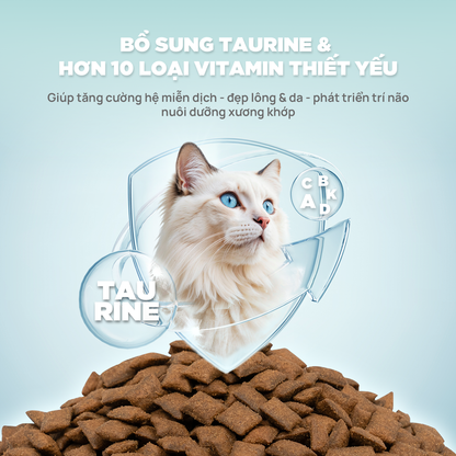PetQ Churro C90 Thức Ăn Hạt Cho Mèo Túi Dùng Thử 50g