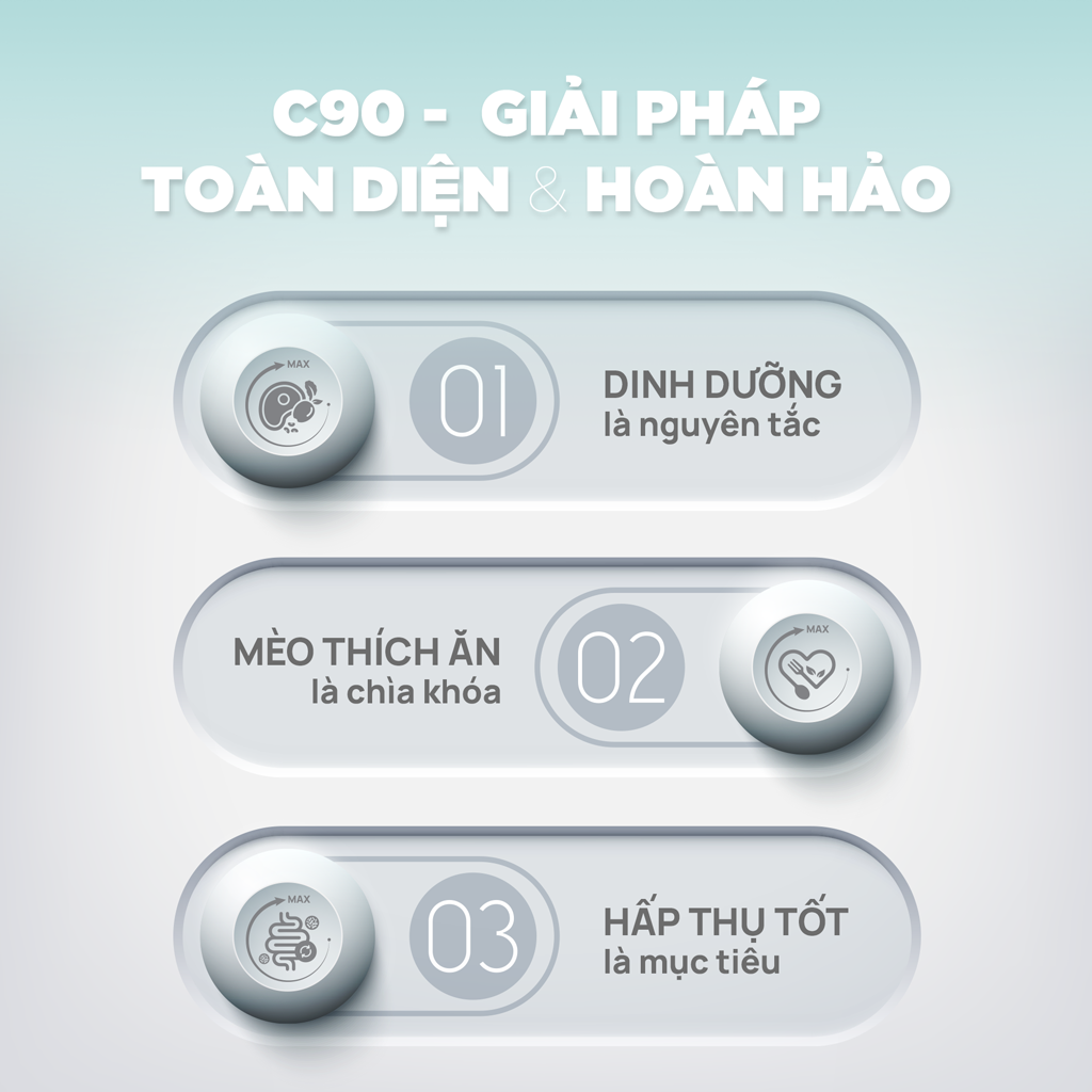 PetQ Churro C90 Thức Ăn Hạt Cho Mèo Túi Dùng Thử 50g