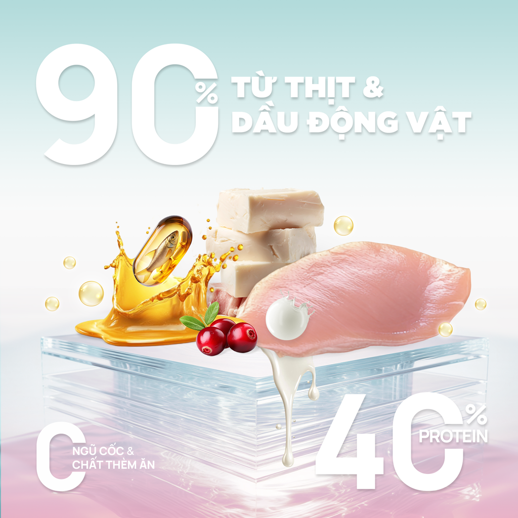 PetQ Churro C90K Thức Ăn Hạt Cho Mèo Con Gói 50g