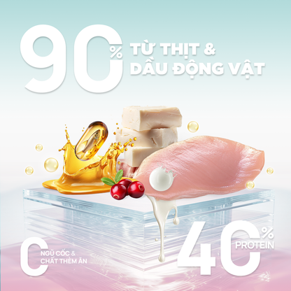 PetQ Churro C90K Thức Ăn Hạt Cho Mèo Con Gói 50g