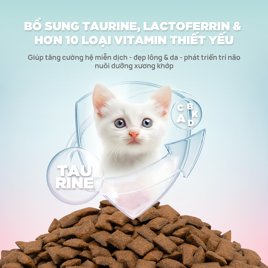 PetQ Churro C90K Thức Ăn Hạt Cho Mèo Con Gói 50g