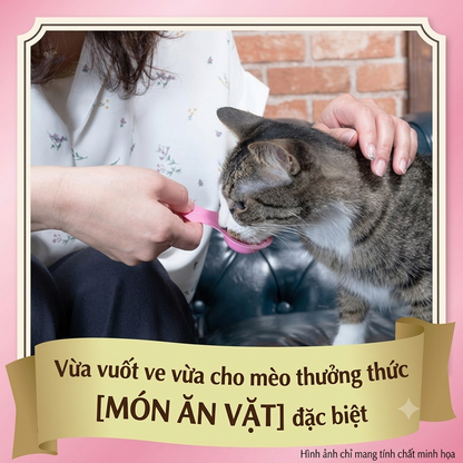 Silver Spoon Súp Thưởng Cho Mèo Dạng Thìa Additives Free Vị Cá Ngừ 40g – Không Chất Điều Vị, Tạo Màu