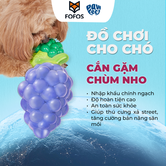 FOFOS Đồ Chơi Gặm Có Còi Kêu Hình Trái Nho Cho Chó – Chất Liệu TPR Bền Chắc