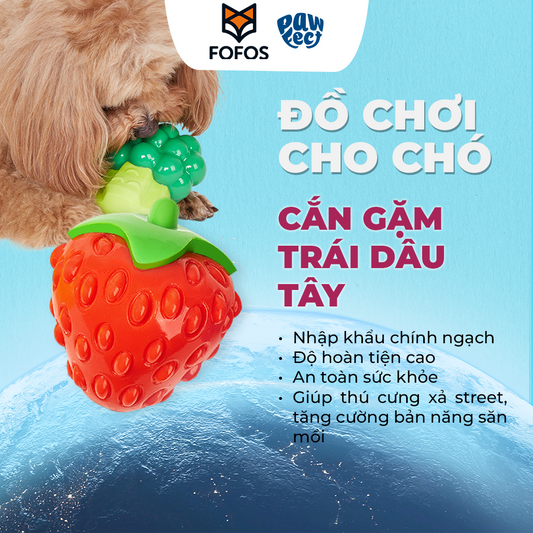 FOFOS Đồ Chơi Gặm Hình Trái Dâu Cho Chó – Chất Liệu TPR Bền Chắc, Không Còi Kêu