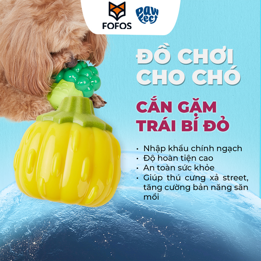 FOFOS Đồ Chơi Gặm Hình Bí Ngô Phát Tiếng Cười Có Còi Kêu Cho Chó – Chất Liệu TPR Bền Chắc
