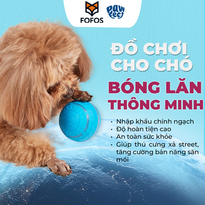 FFOFOS Bóng Lăn Tự Động Thông Minh Đèn LED Cho Chó – Sạc Nhanh Type-C, Chống Nước 8.5x8.5x8.5cm