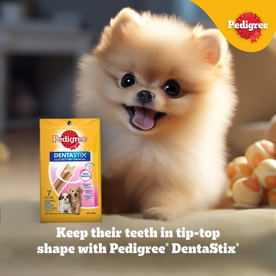 Pedigree Dentastix Bánh Xương Chăm Sóc Răng Cho Chó Con 4-12 Tháng 56g