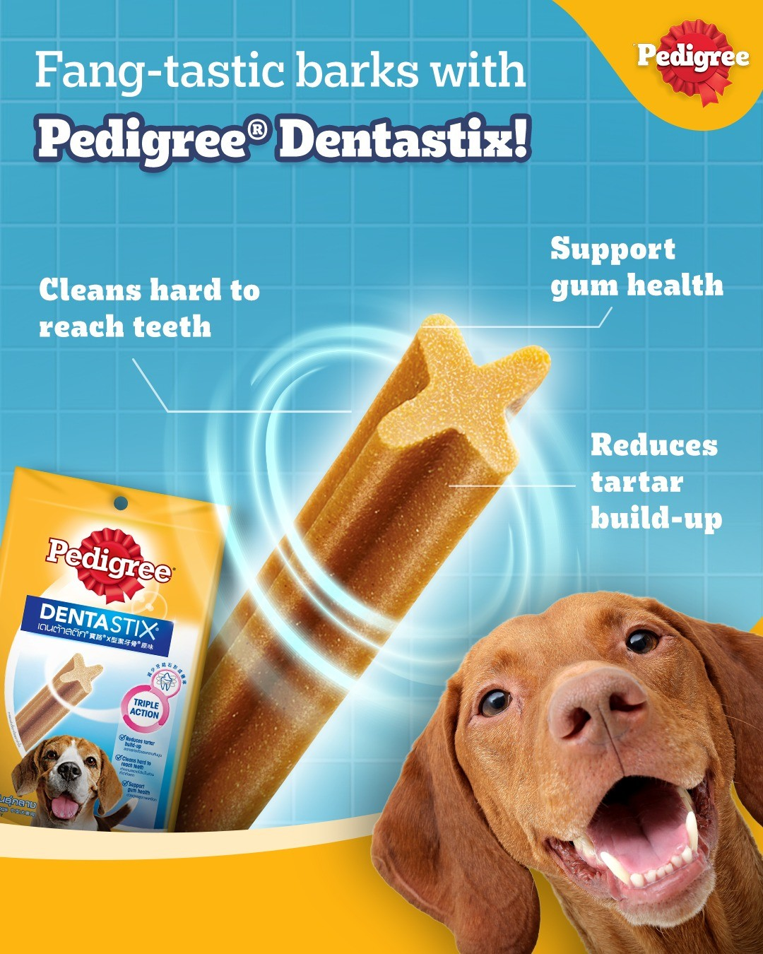 Pedigree Dentastix Bánh Xương Chăm Sóc Răng Cho Chó Cỡ Vừa 98g