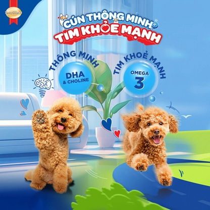 SMARTHEART DÀNH CHO CHÓ TRƯỞNG THÀNH GIỐNG NHỎ VỊ BEEF STEAK - Tiệm Spa Bốn Chân