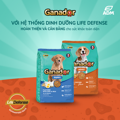 Ganador Thức Ăn Hạt Cho Chó Con Vị Trứng Và Sữa Túi 400g