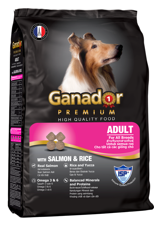 Ganador Premium Thức Ăn Hạt Cao Cấp Dành Cho Chó Trưởng Thành Vị Cá Hồi & Gạo Túi 3kg