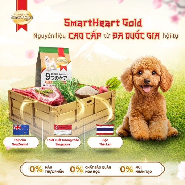 SMARTHEART GOLD DÀNH CHO CHÓ TRƯỞNG THÀNH GIỐNG NHỎ VỊ CỪU VÀ GẠO - Tiệm Spa Bốn Chân