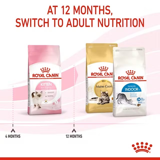 Royal Canin Thức Ăn Hạt Dành Cho Mèo Con Túi 2kg