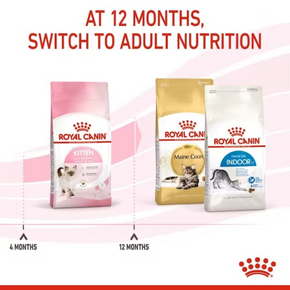 Royal Canin Thức Ăn Hạt Dành Cho Mèo Con Túi 2kg