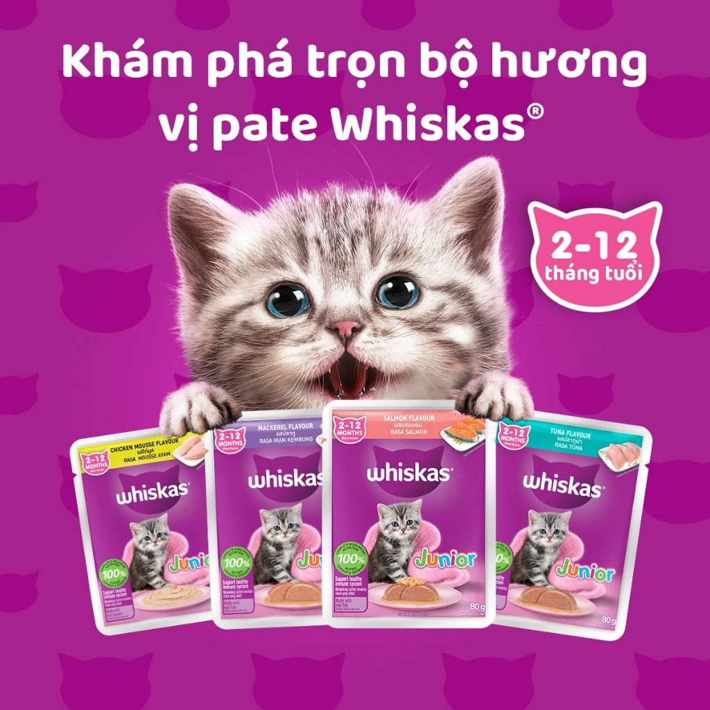 Whiskas Pate Vị Gà Xay Nhuyễn Dành Cho Mèo Con