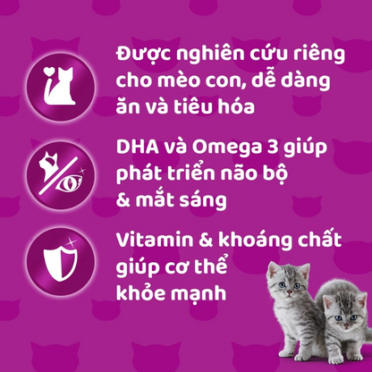 Whiskas Pate Vị Gà Xay Nhuyễn Dành Cho Mèo Con