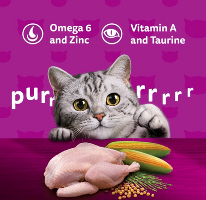 Whiskas Pate Vị Gà Xay Nhuyễn Dành Cho Mèo Con