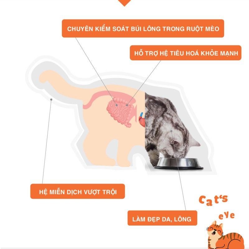 [TÚI CHIẾT] Cat's Eye Kitten & Cat Thức Ăn Hạt Dành Cho Mèo Mọi Lứa Tuổi 1kg