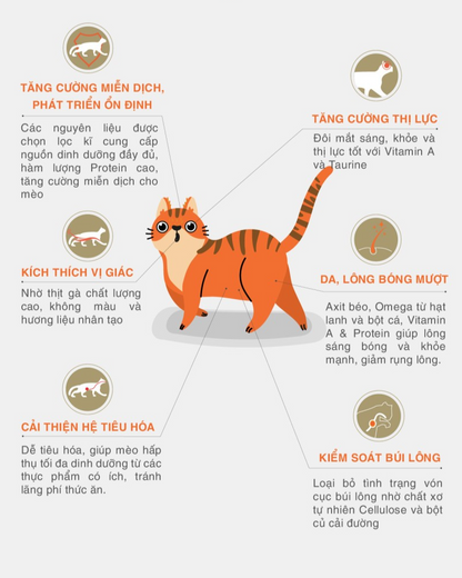 [TÚI CHIẾT] Cat's Eye Kitten & Cat Thức Ăn Hạt Dành Cho Mèo Mọi Lứa Tuổi 1kg