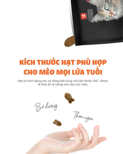 [TÚI CHIẾT] Cat's Eye Kitten & Cat Thức Ăn Hạt Dành Cho Mèo Mọi Lứa Tuổi 1kg