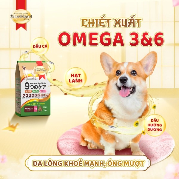 SMARTHEART GOLD DÀNH CHO CHÓ TRƯỞNG THÀNH GIỐNG VỪA VÀ LỚN VỊ CỪU VÀ GẠO - Tiệm Spa Bốn Chân