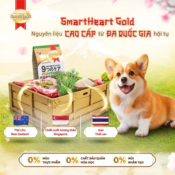 SMARTHEART GOLD DÀNH CHO CHÓ TRƯỞNG THÀNH GIỐNG VỪA VÀ LỚN VỊ CỪU VÀ GẠO - Tiệm Spa Bốn Chân