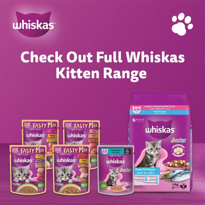 Whiskas Pate Vị Cá Ngừ Dành Cho Mèo Con