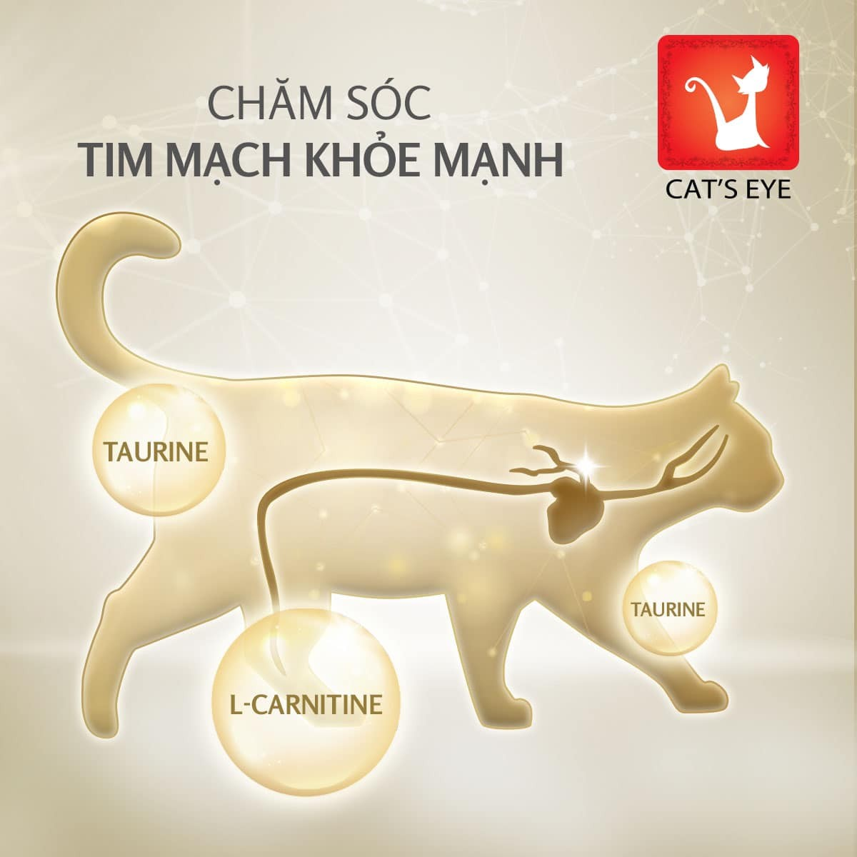 Cat's Eye Premium Kitten & Cat Thức Ăn Hạt Cao Cấp Dành Cho Mèo Mọi Lứa Tuổi 1.5kg