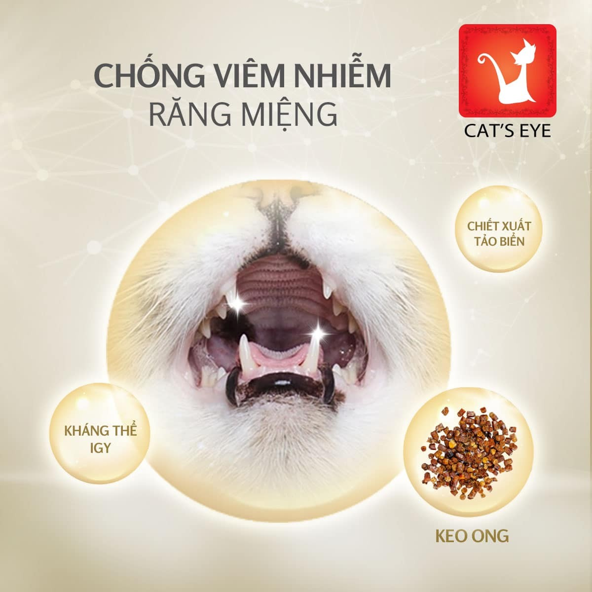 Cat's Eye Premium Kitten & Cat Thức Ăn Hạt Cao Cấp Dành Cho Mèo Mọi Lứa Tuổi 1.5kg