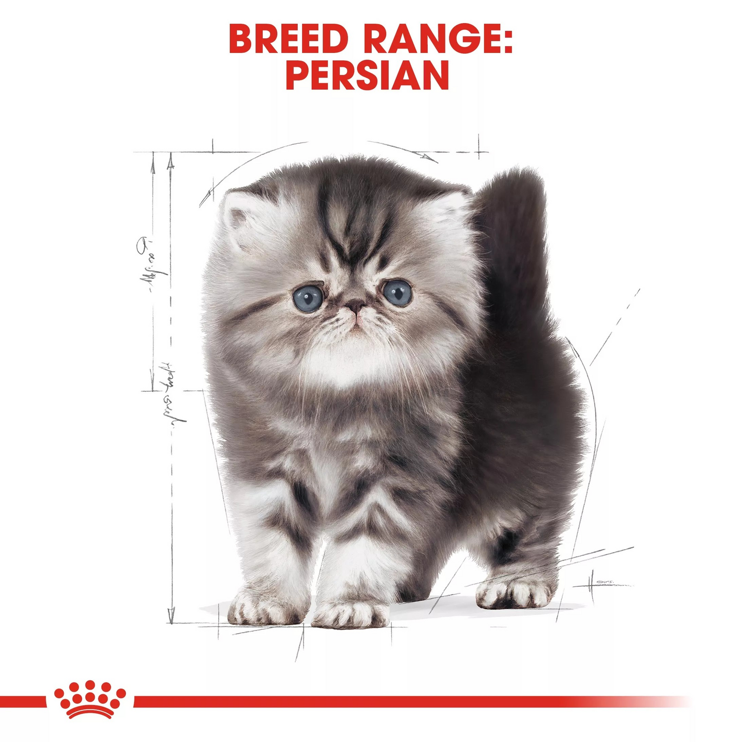 Royal Canin Persian Thức Ăn Hạt Dành Cho Mèo Con Ba Tư Lông Dài Túi 400g