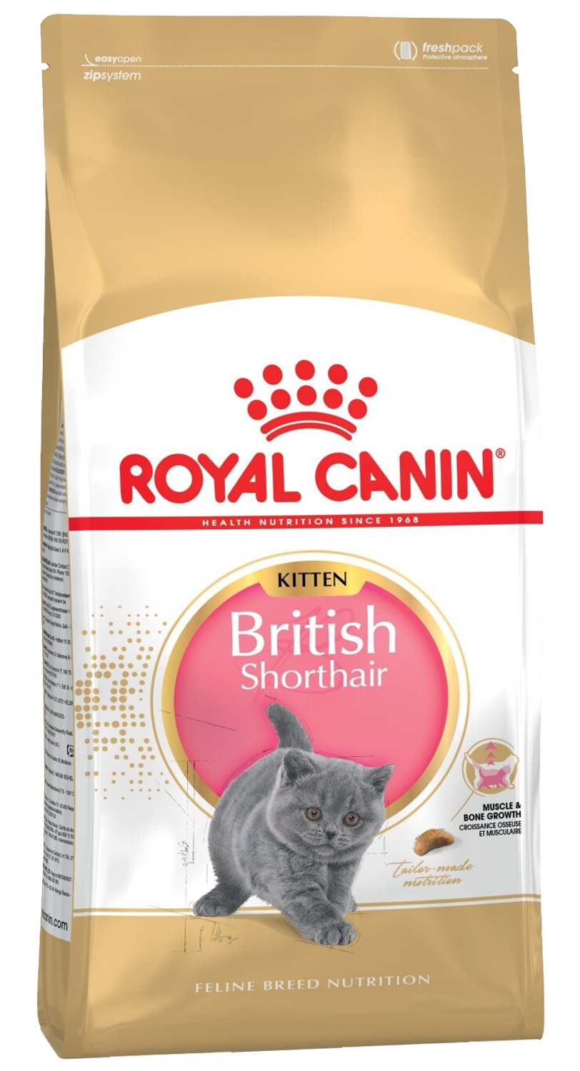 Royal Canin Thức Ăn Hạt Dành Cho Mèo Con Giống Mèo Anh Lông Ngắn Túi 2kg