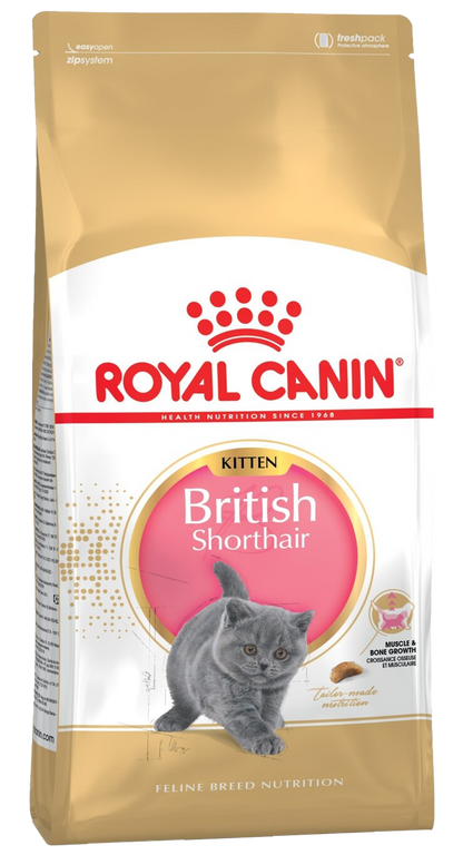Royal Canin Thức Ăn Hạt Dành Cho Mèo Con Giống Mèo Anh Lông Ngắn Túi 2kg