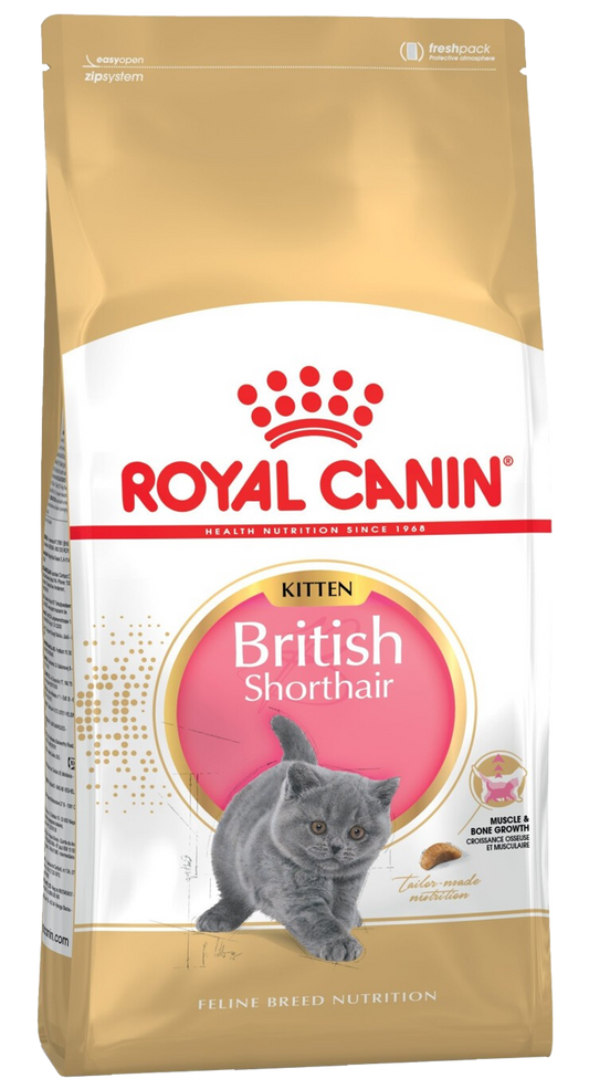 Royal Canin Thức Ăn Hạt Dành Cho Mèo Con Giống Mèo Anh Lông Ngắn Túi 2kg