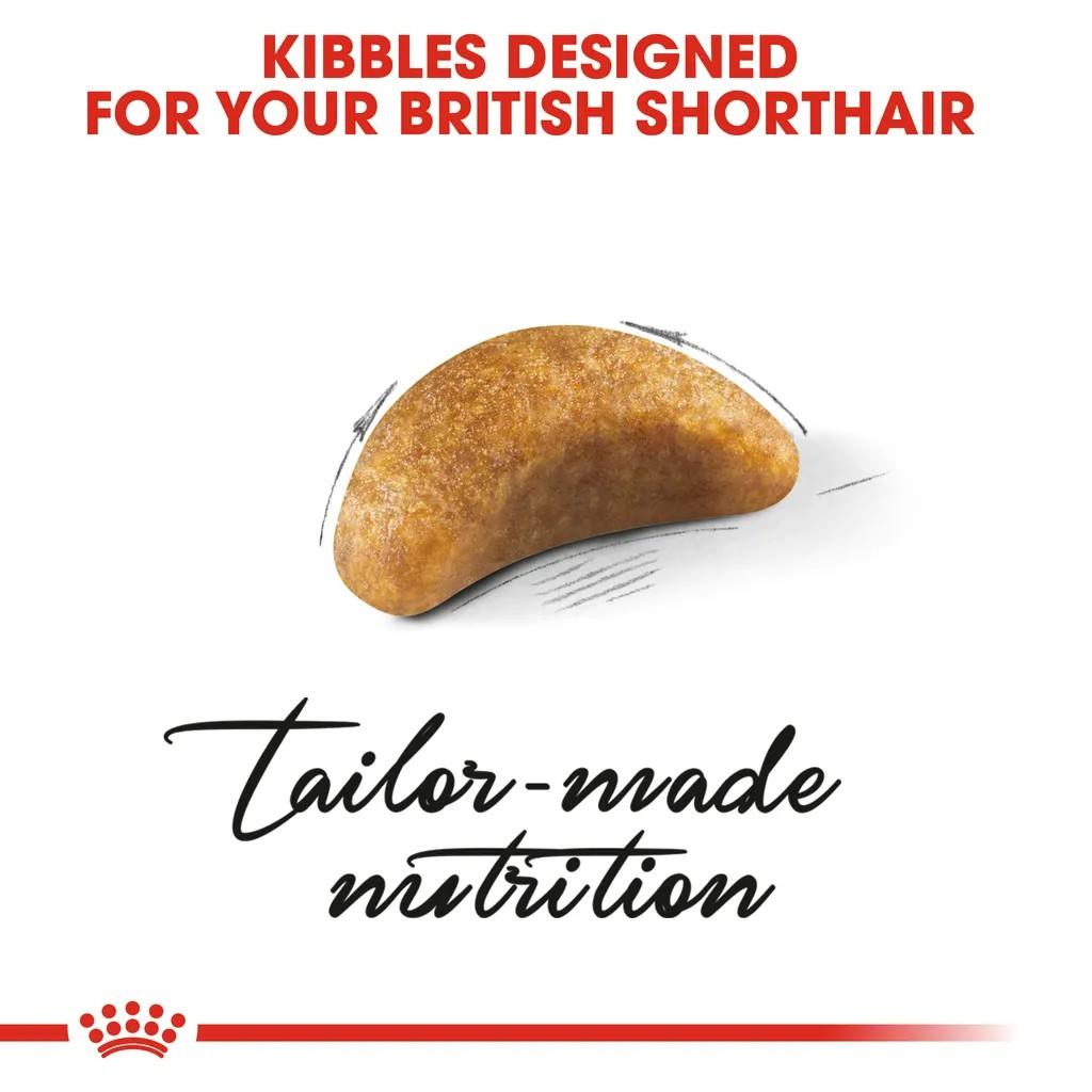 Royal Canin Thức Ăn Hạt Dành Cho Mèo Con Giống Mèo Anh Lông Ngắn Túi 2kg