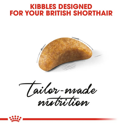 Royal Canin Thức Ăn Hạt Dành Cho Mèo Con Giống Mèo Anh Lông Ngắn Túi 2kg