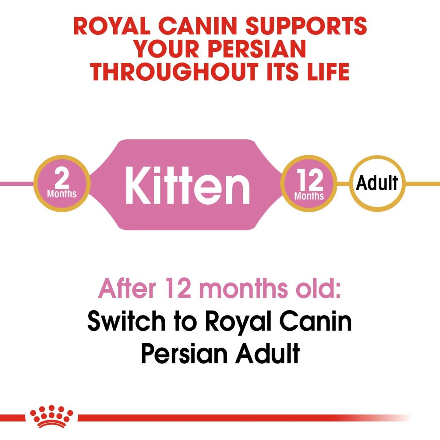Royal Canin Thức Ăn Hạt Dành Cho Mèo Con Giống Mèo Anh Lông Ngắn Túi 2kg