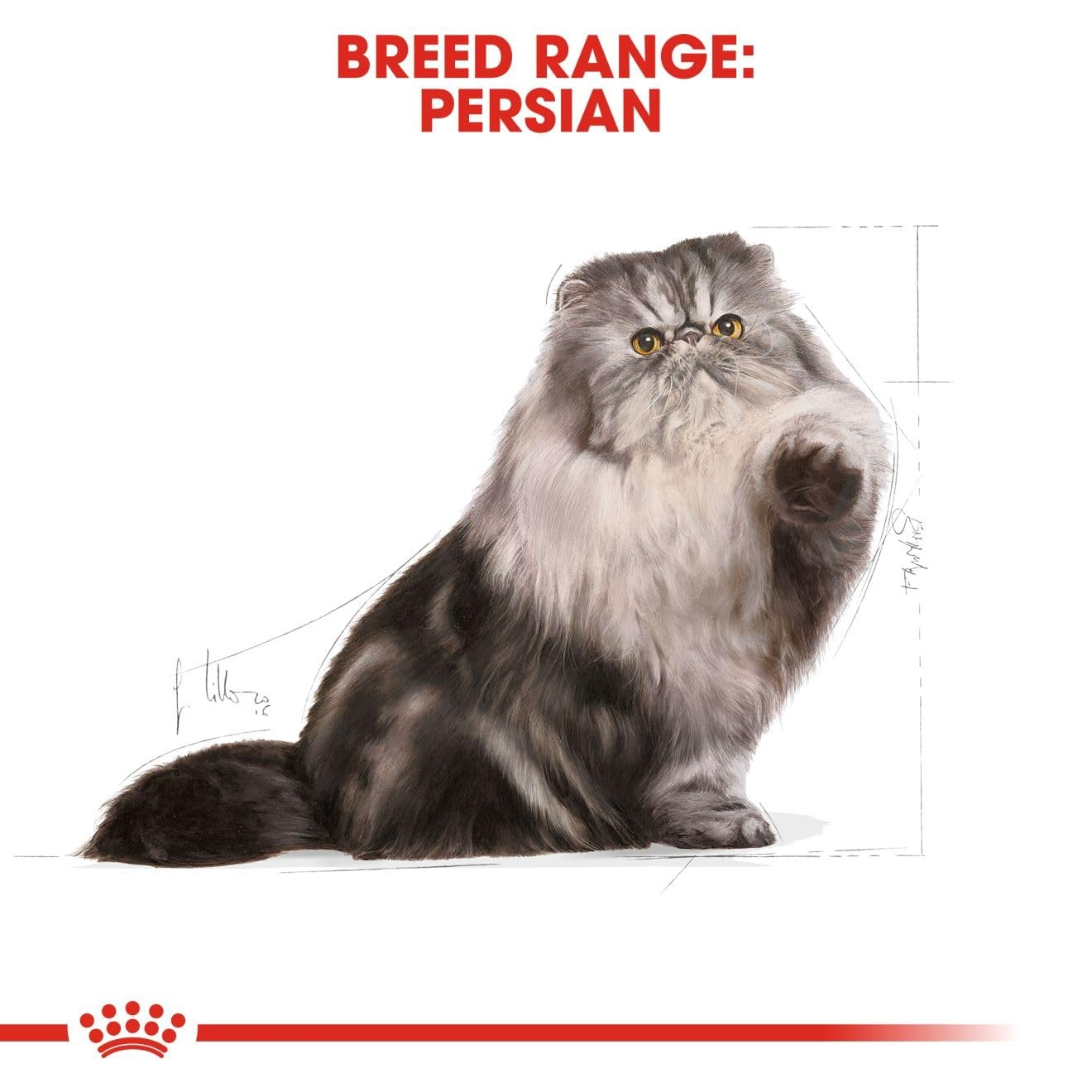 Royal Canin Persian Thức Ăn Hạt Dành Cho Mèo Ba Tư Lông Dài Túi 400g