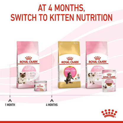 Royal Canin Thức Ăn Hạt Dành Cho Mèo Mẹ & Mèo Con Túi 2kg