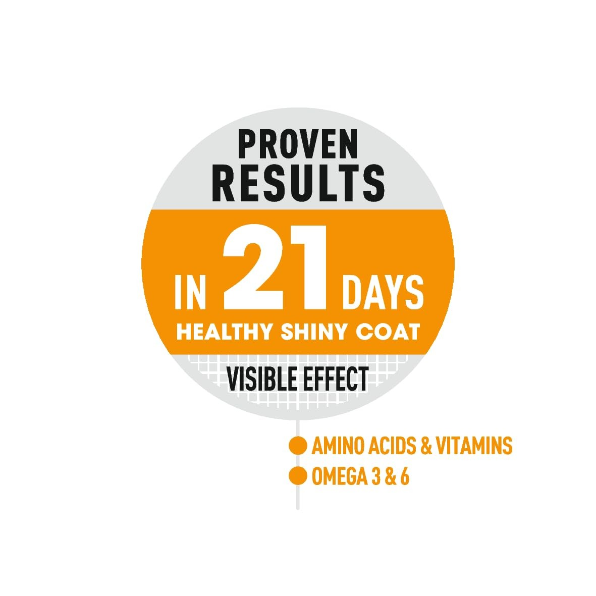 Royal Canin Thức Ăn Hạt Hỗ Trợ Da & Lông Cho Mèo Trưởng Thành Túi 2kg