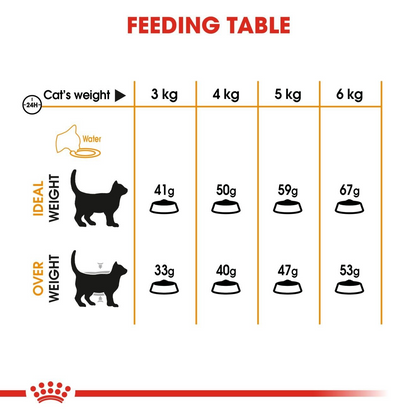 Royal Canin Thức Ăn Hạt Hỗ Trợ Da & Lông Cho Mèo Trưởng Thành Túi 2kg
