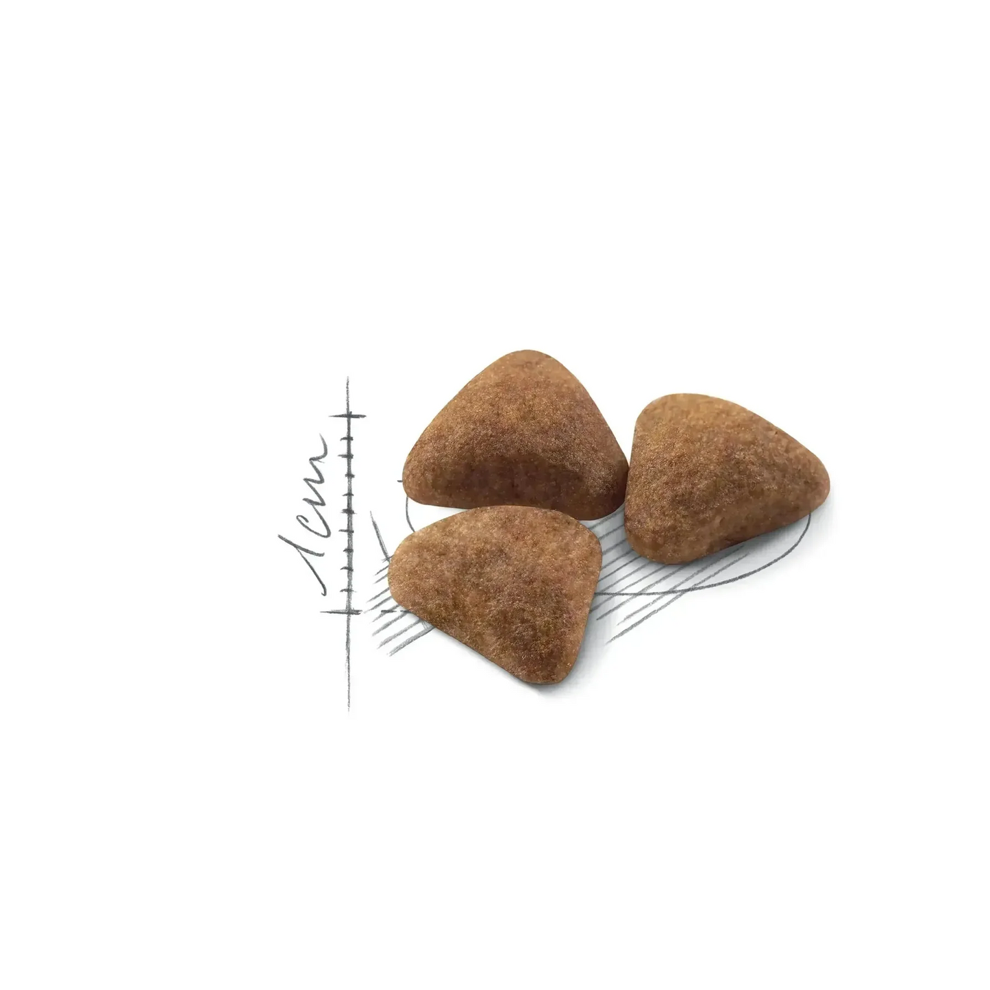 Royal Canin Indoor 27 Thức Ăn Hạt Cho Mèo Nuôi Trong Nhà Túi 400g