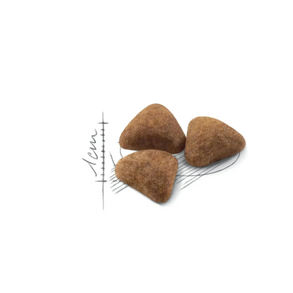 Royal Canin Indoor 27 Thức Ăn Hạt Cho Mèo Nuôi Trong Nhà Túi 400g