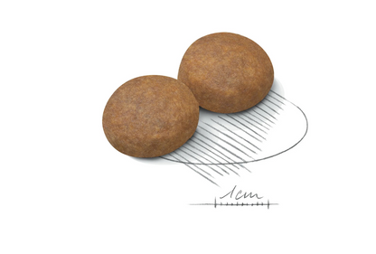 Royal Canin Maxi Thức Ăn Hạt Dành Cho Chó Lớn Trưởng Thành Túi 10kg