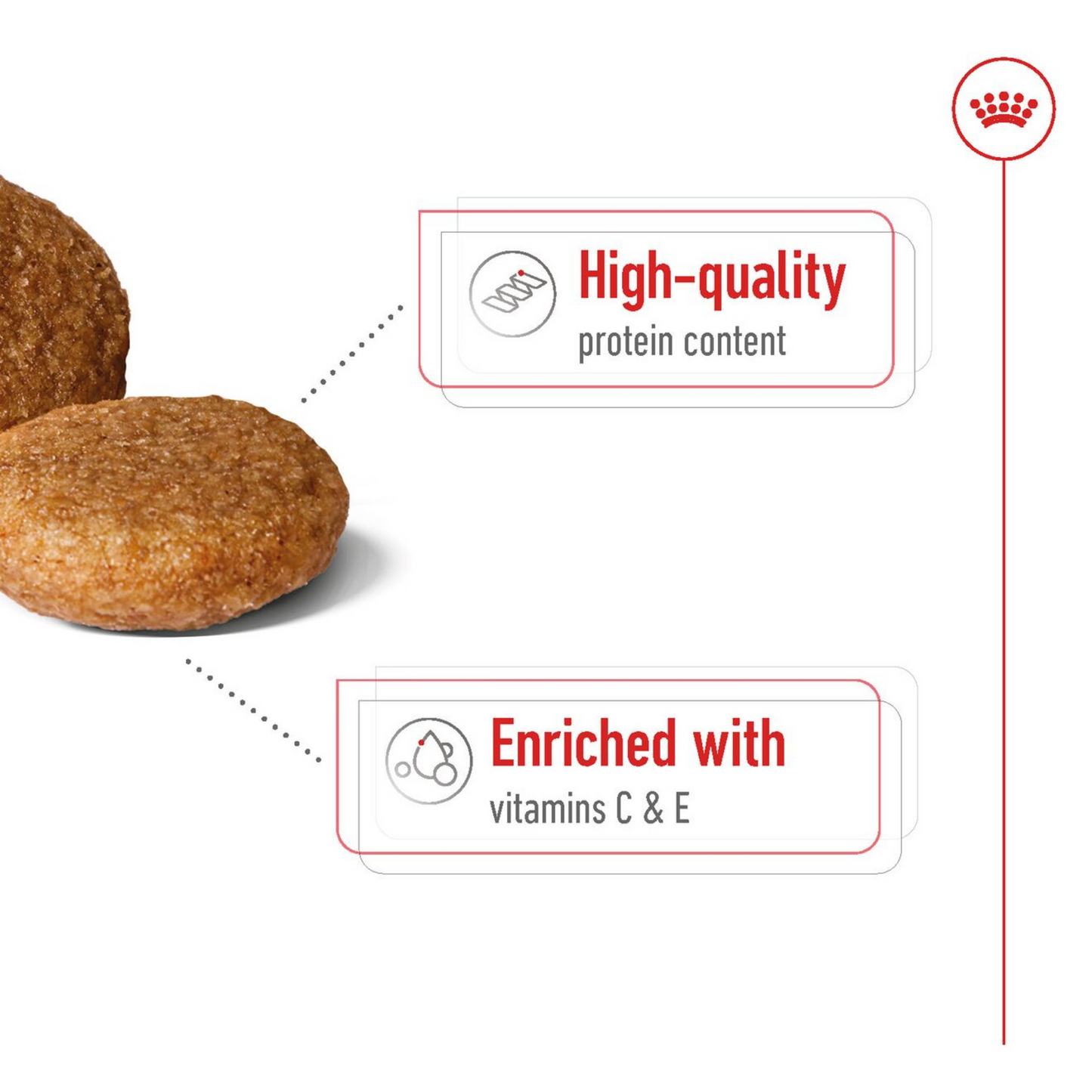 Royal Canin Medium Thức Ăn Hạt Dành Cho Chó Trưởng Thành Cỡ Trung 10kg